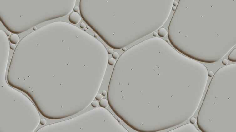 Cover image showing skin barrier support icons: tiles, water droplet, shield